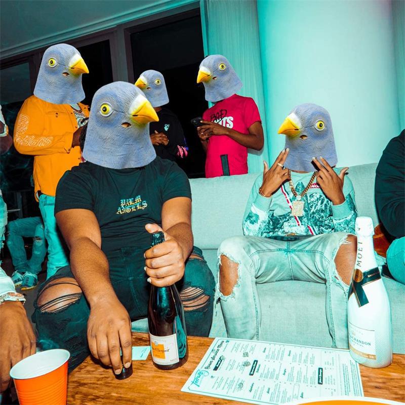 鳩マスクコスチューム ノベルティ ハロウィン仮装パーティー  - Skincare Pigeon のレビューと価格